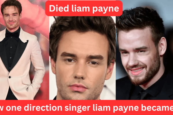 How One Direction Singer Liam Payne Became Famous and Died ?