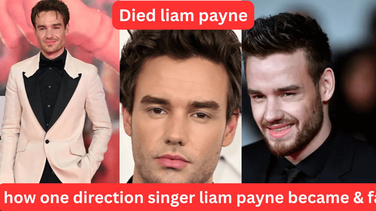 How One Direction Singer Liam Payne Became Famous and Died ?